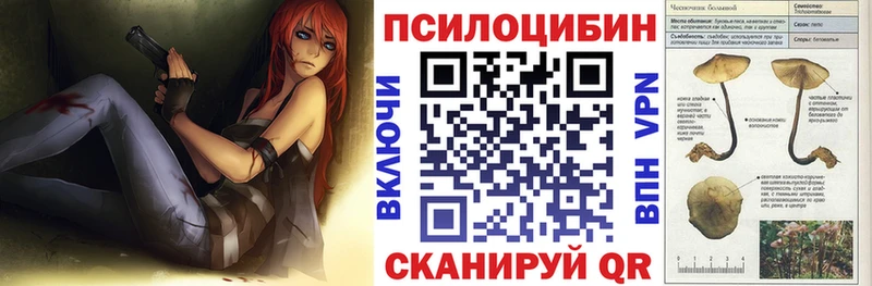 Галлюциногенные грибы MAGIC MUSHROOMS  Андреаполь 